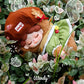 DODOSUGAR Wendy Garden Treasure Hunt Plush Blind Box Figure Girl Gift Ornament Surprise Toy Doll