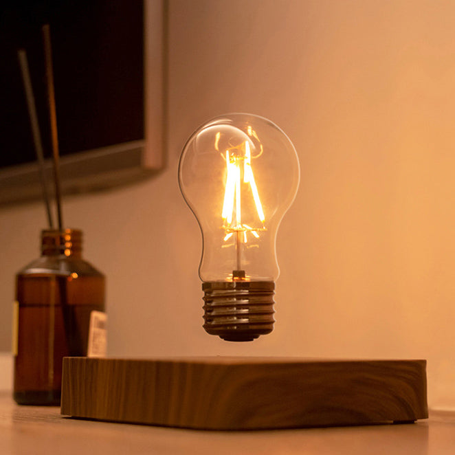 Cordless Light Bulb Lamp