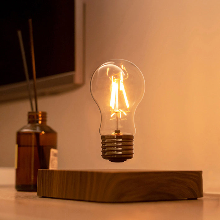 Cordless Light Bulb Lamp