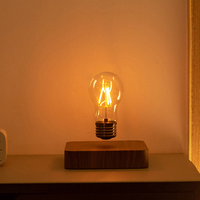 Cordless Light Bulb Lamp